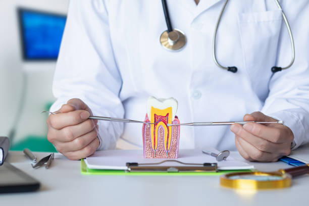 Best Walk-In Emergency Dentist in St Marys, OH